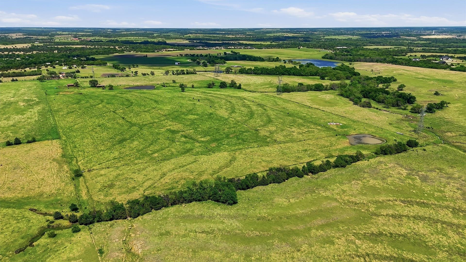 61 acres in Grayson County - photo 17