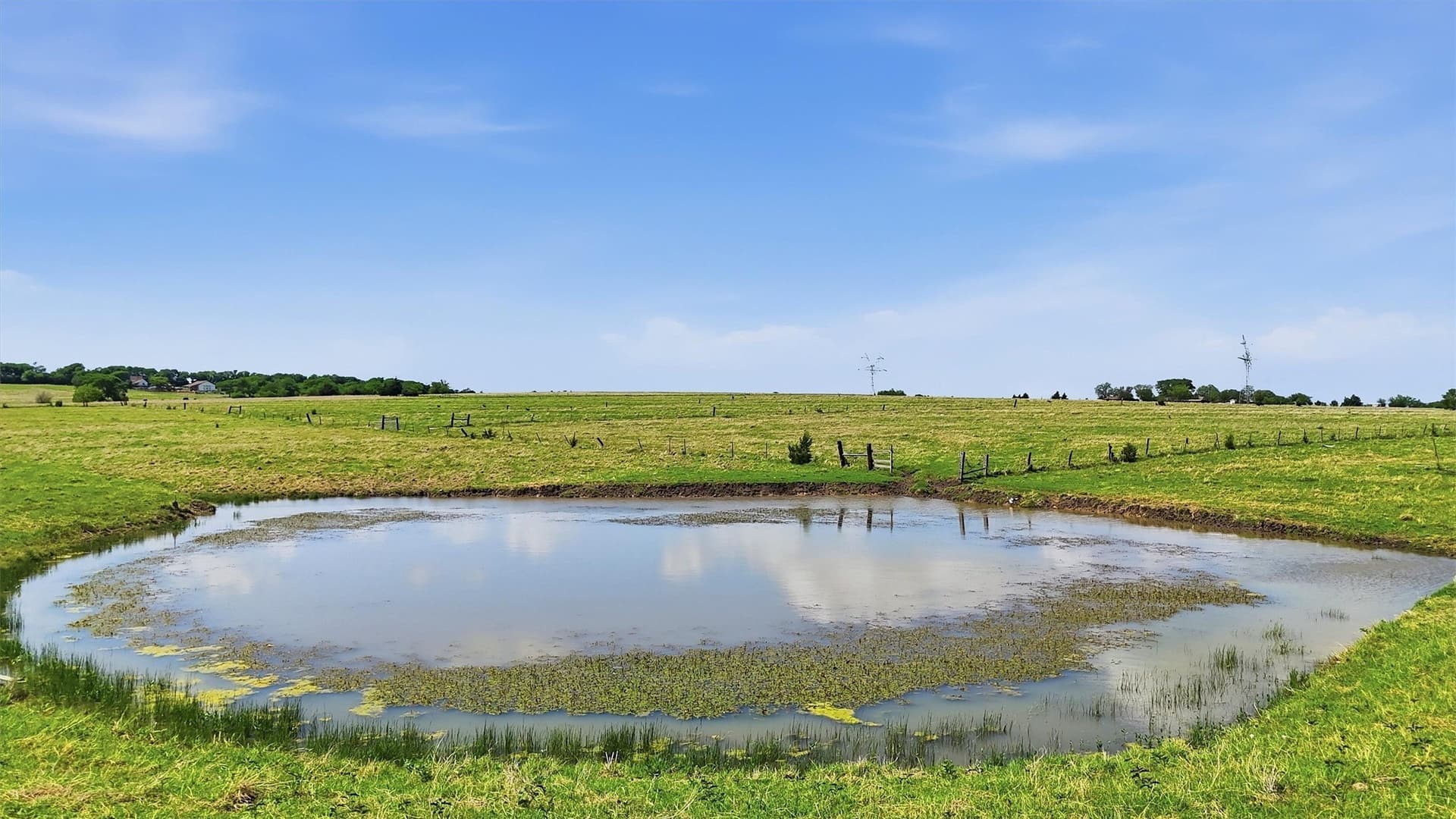 61 acres in Grayson County - photo 22