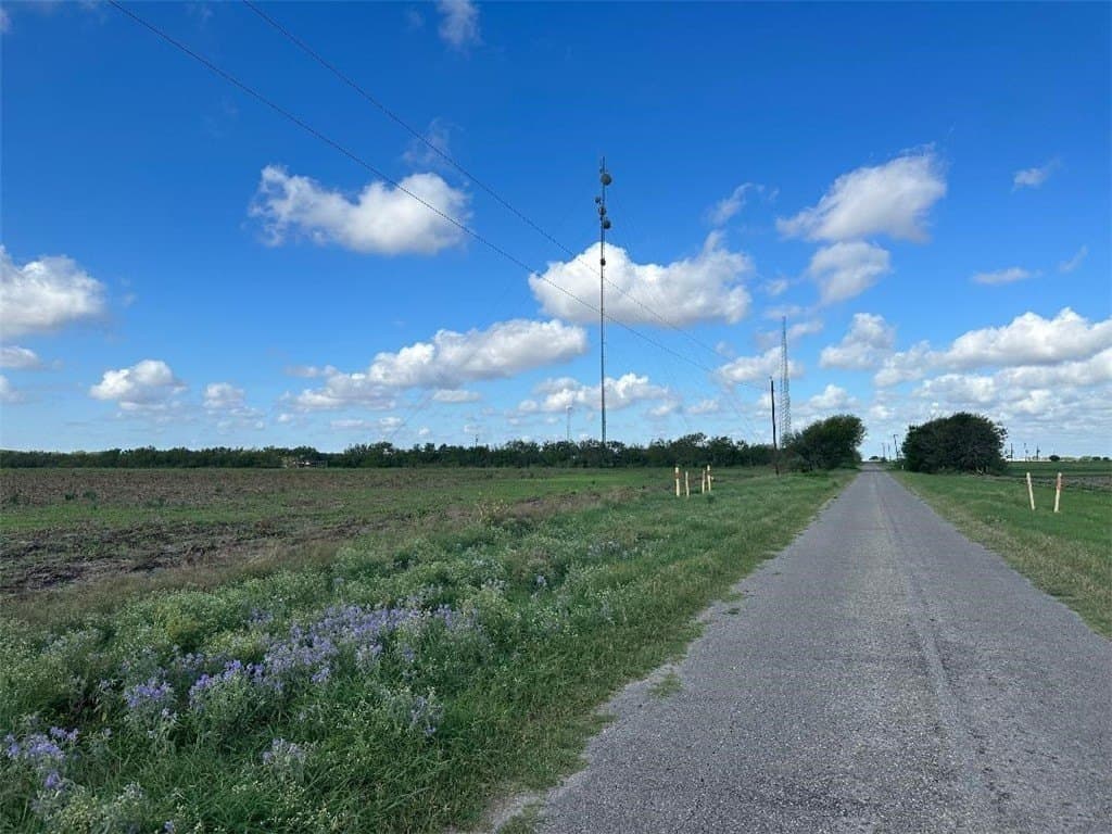 40 acres in San Patricio County gallery image 2