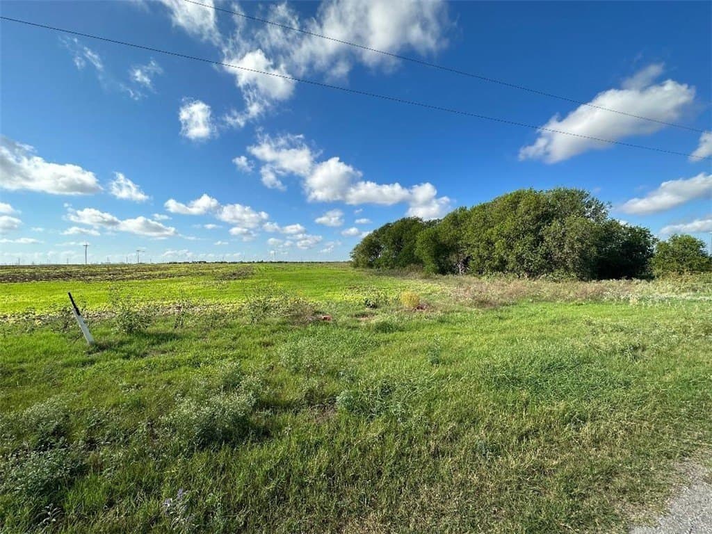 40 acres in San Patricio County - photo 7