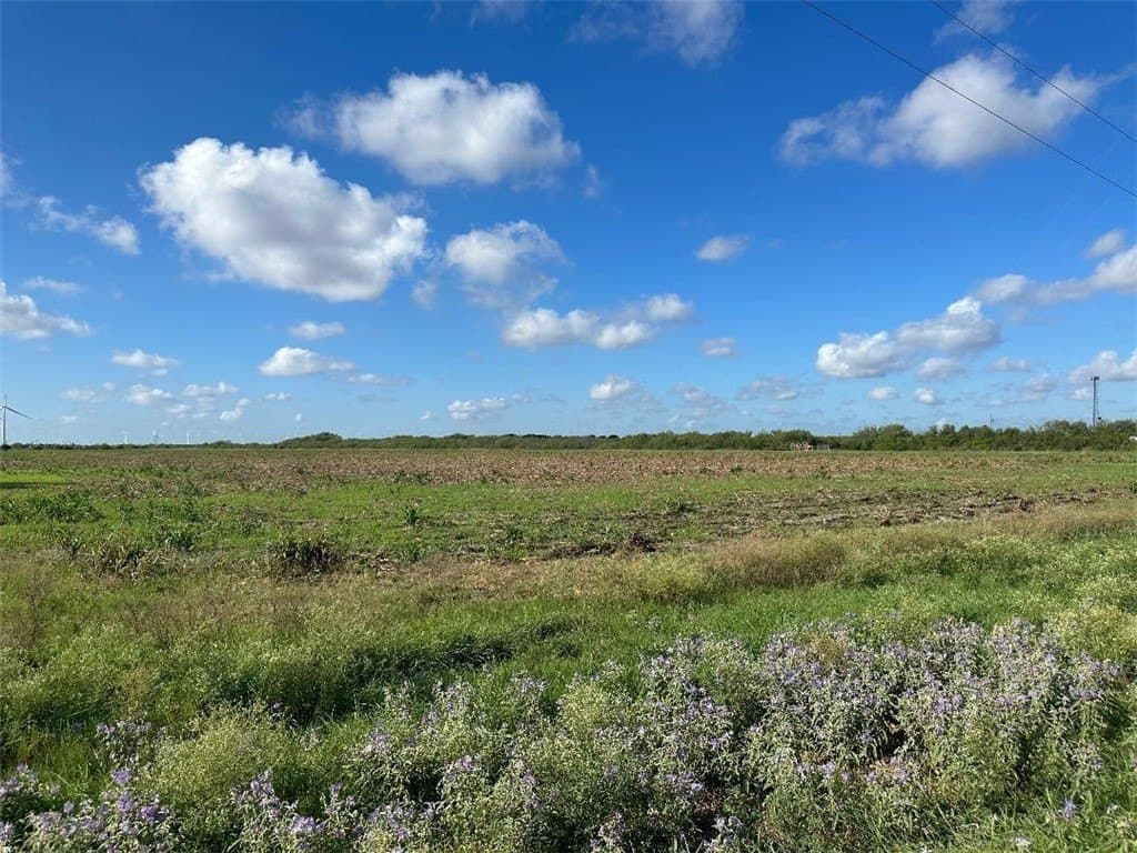 40 acres in San Patricio County featured view