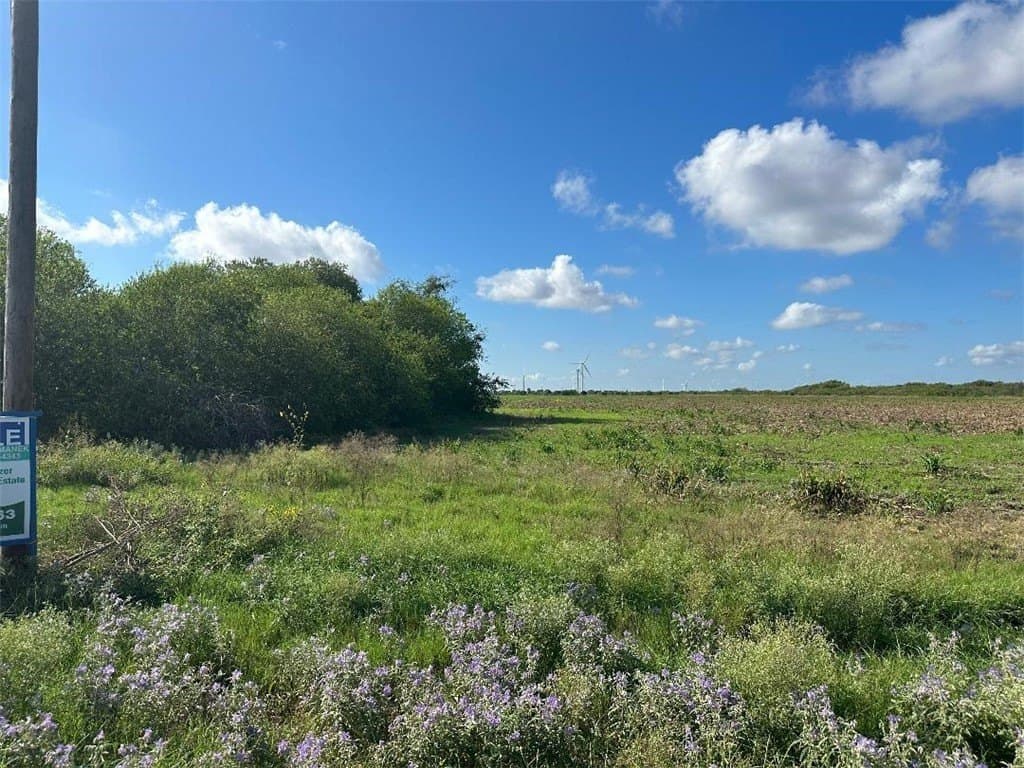 40 acres in San Patricio County - photo 6