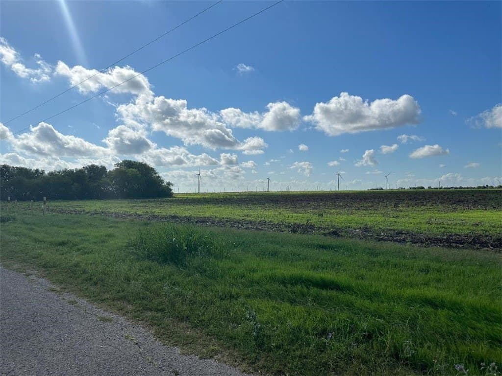 40 acres in San Patricio County gallery image 4
