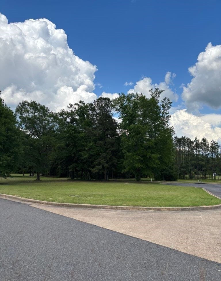 0 acres in Texas County - photo 2