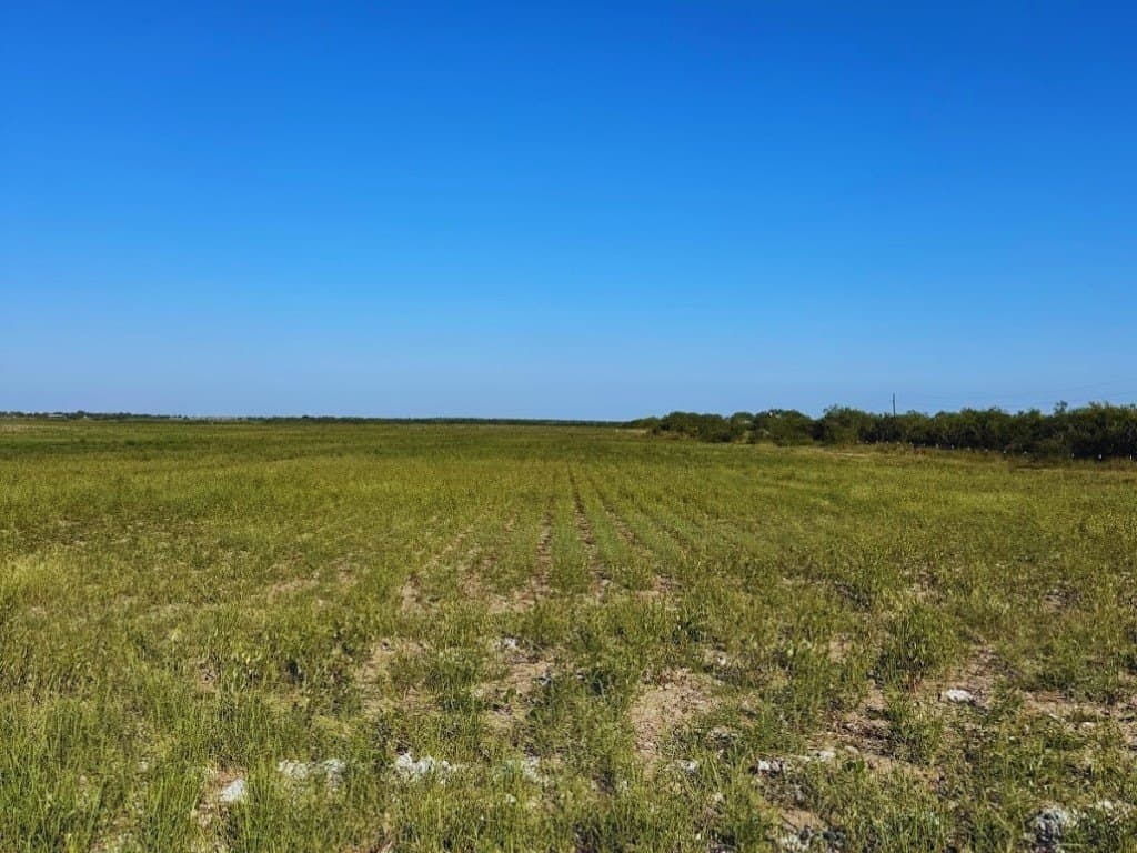 12.4 acres in Kleberg County - photo 7