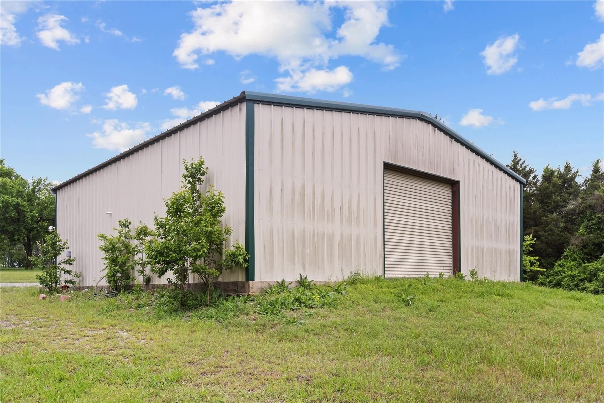 37 acres in Fannin County gallery image 4