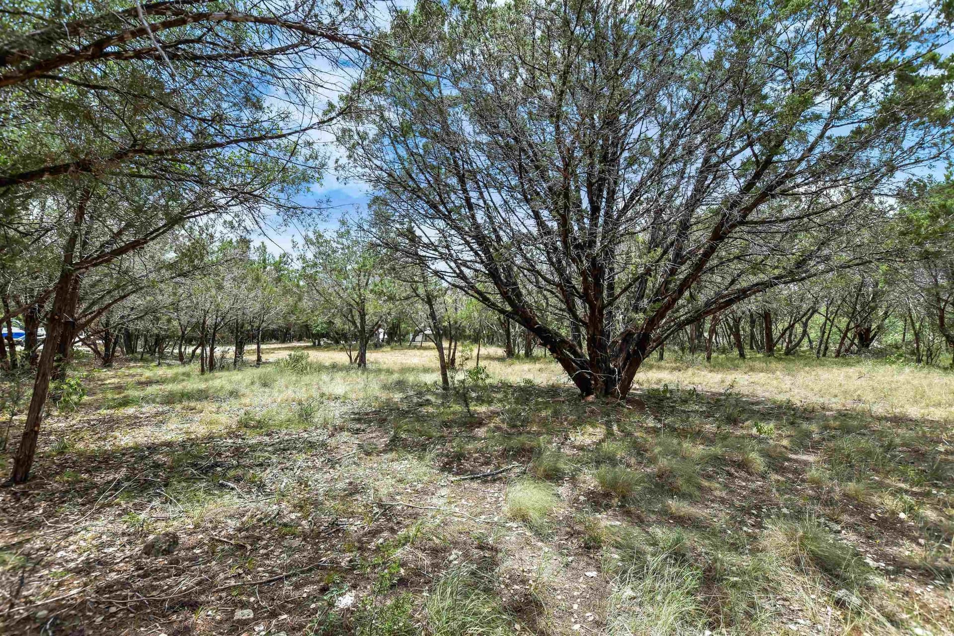 0.23 acres in Travis County featured view