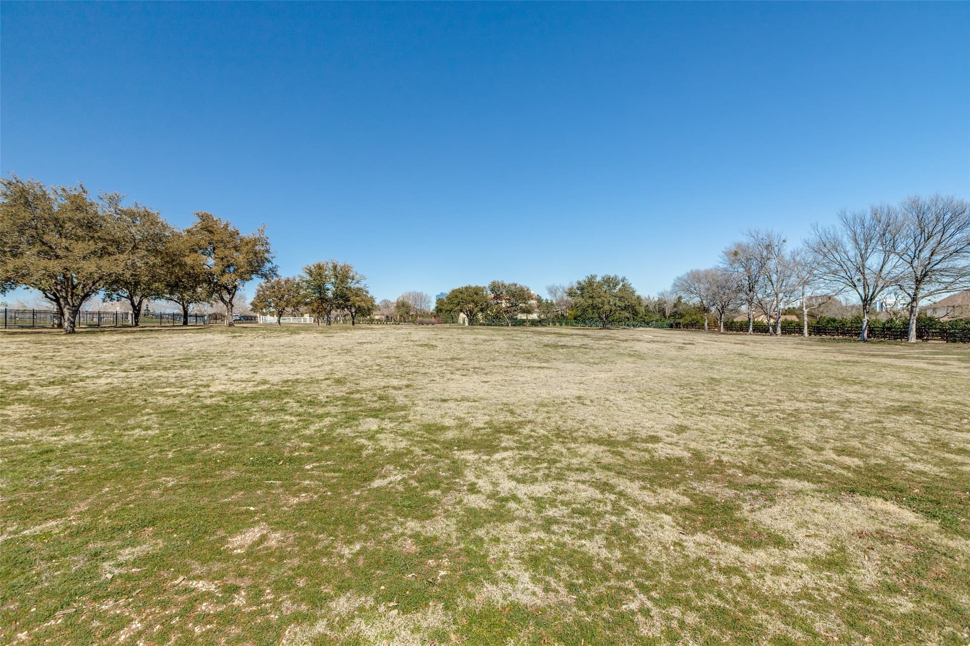 3 acres in Collin County - photo 6
