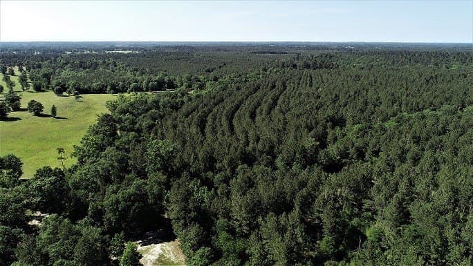 421.95 acres in Texas County - photo 23