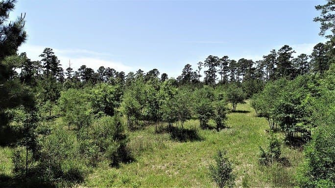 421.95 acres in Texas County - photo 14