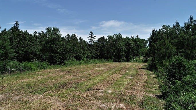 421.95 acres in Texas County - photo 17