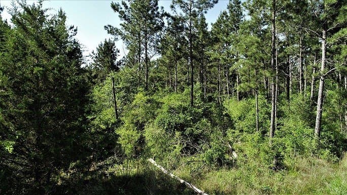 421.95 acres in Texas County - photo 21