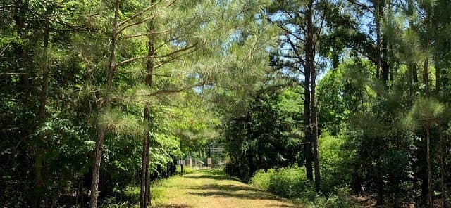 421.95 acres in Texas County - photo 30