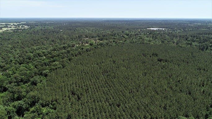 421.95 acres in Texas County - photo 19