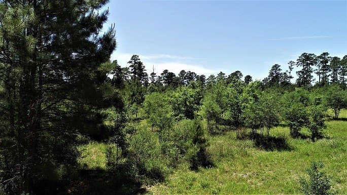 421.95 acres in Texas County - photo 13