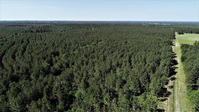 421.95 acres in Texas County - photo 25