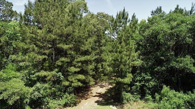 421.95 acres in Texas County - photo 9