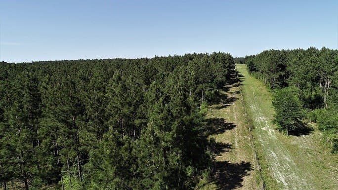 421.95 acres in Texas County - photo 22
