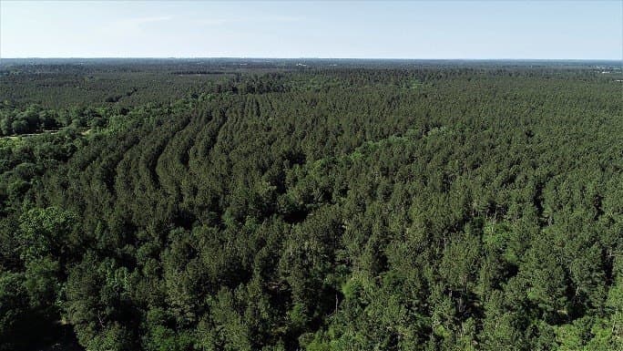 421.95 acres in Texas County - photo 24