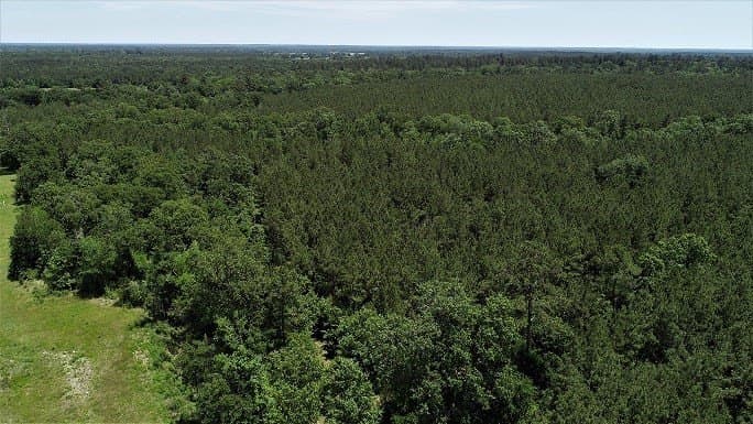 421.95 acres in Texas County - photo 18