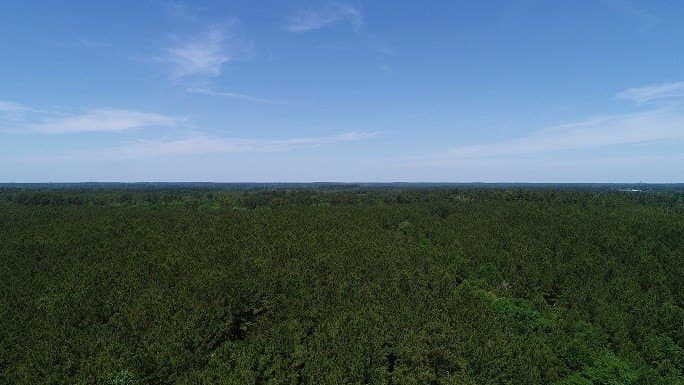 421.95 acres in Texas County - photo 11