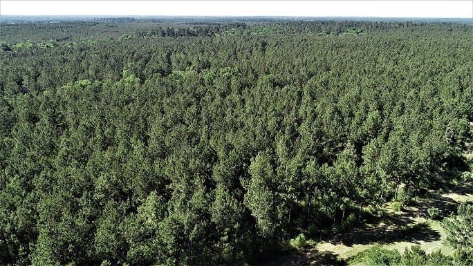 421.95 acres in Texas County - photo 28