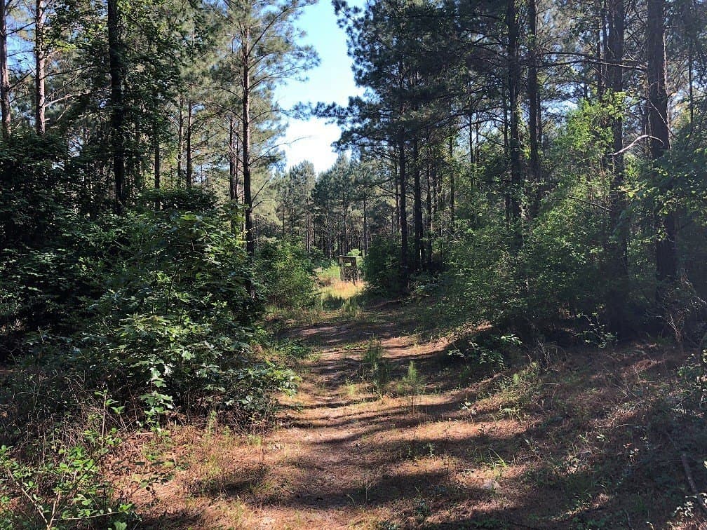 421.95 acres in Texas County - photo 7