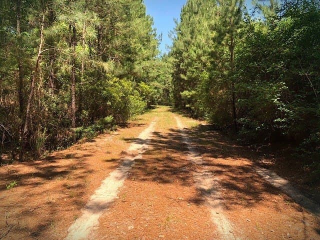 421.95 acres in Texas County - photo 31
