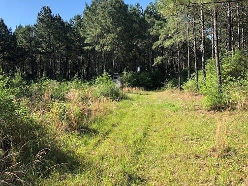 421.95 acres in Texas County - photo 32