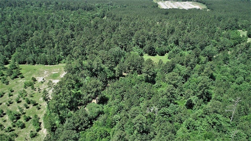 421.95 acres in Texas County - photo 15
