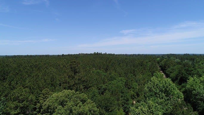 421.95 acres in Texas County - photo 10