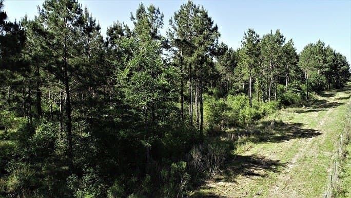 421.95 acres in Texas County - photo 29
