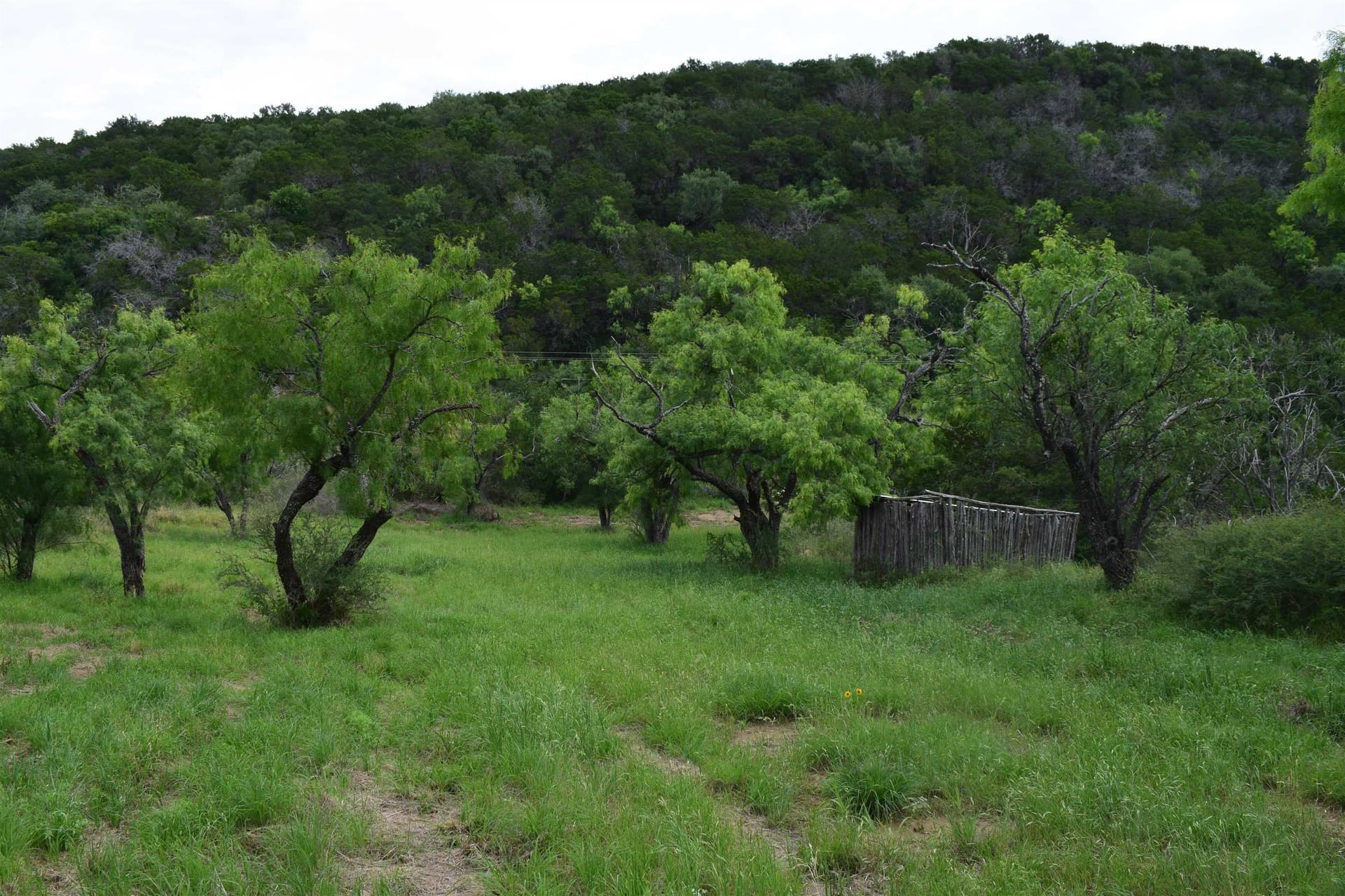 8 acres in Burnet County - photo 8