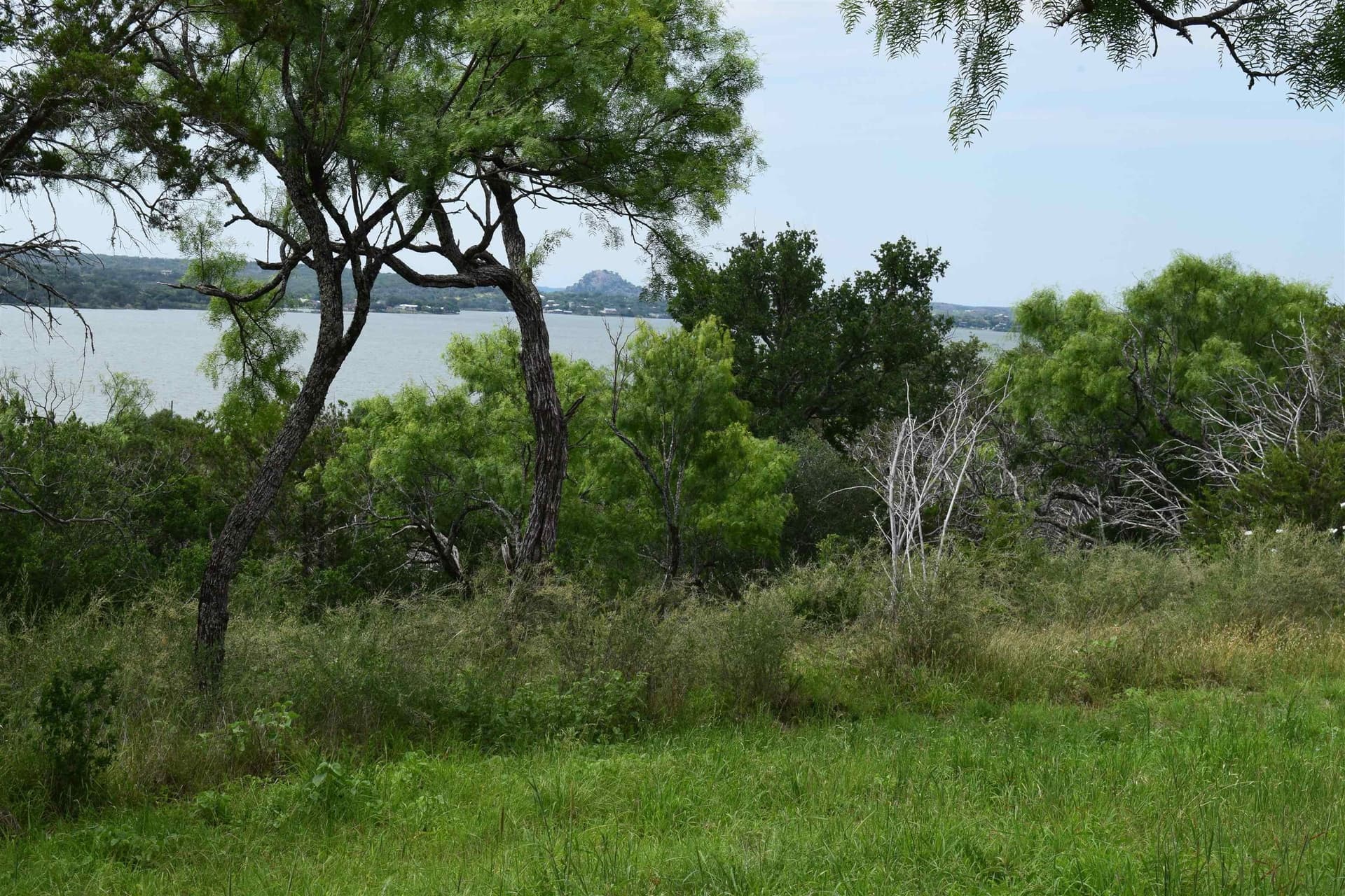 8 acres in Burnet County gallery image 3