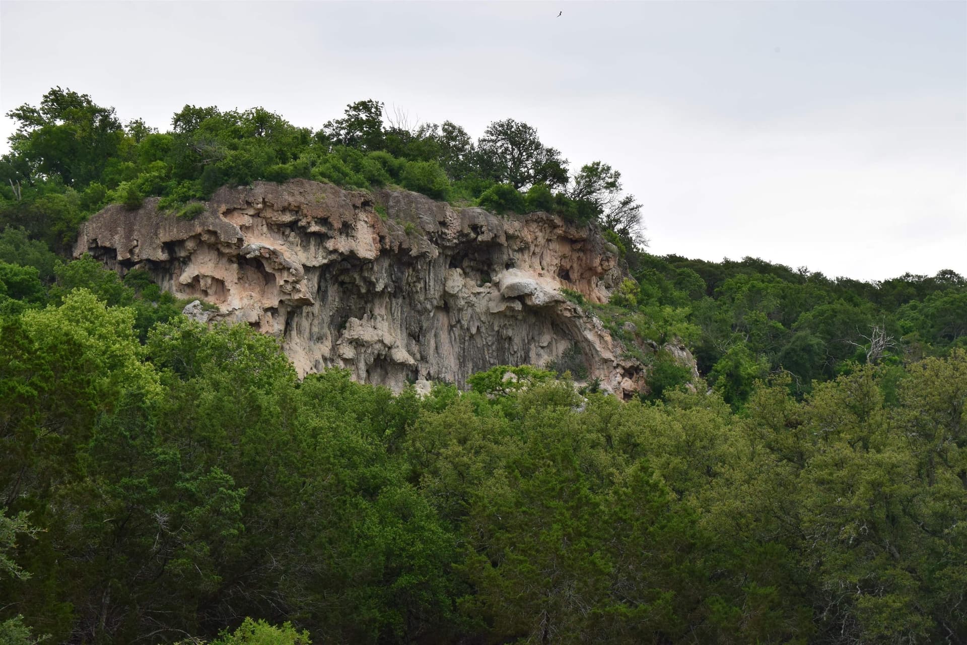 8 acres in Burnet County - photo 6