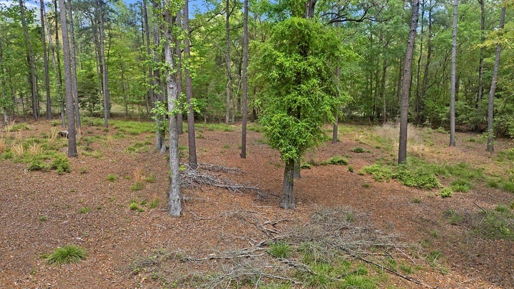 6.73 acres in Texas County - photo 13