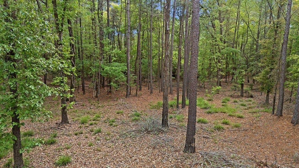 6.73 acres in Texas County - photo 7
