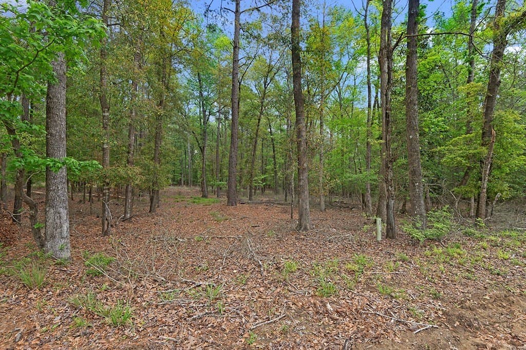 6.73 acres in Texas County - photo 14