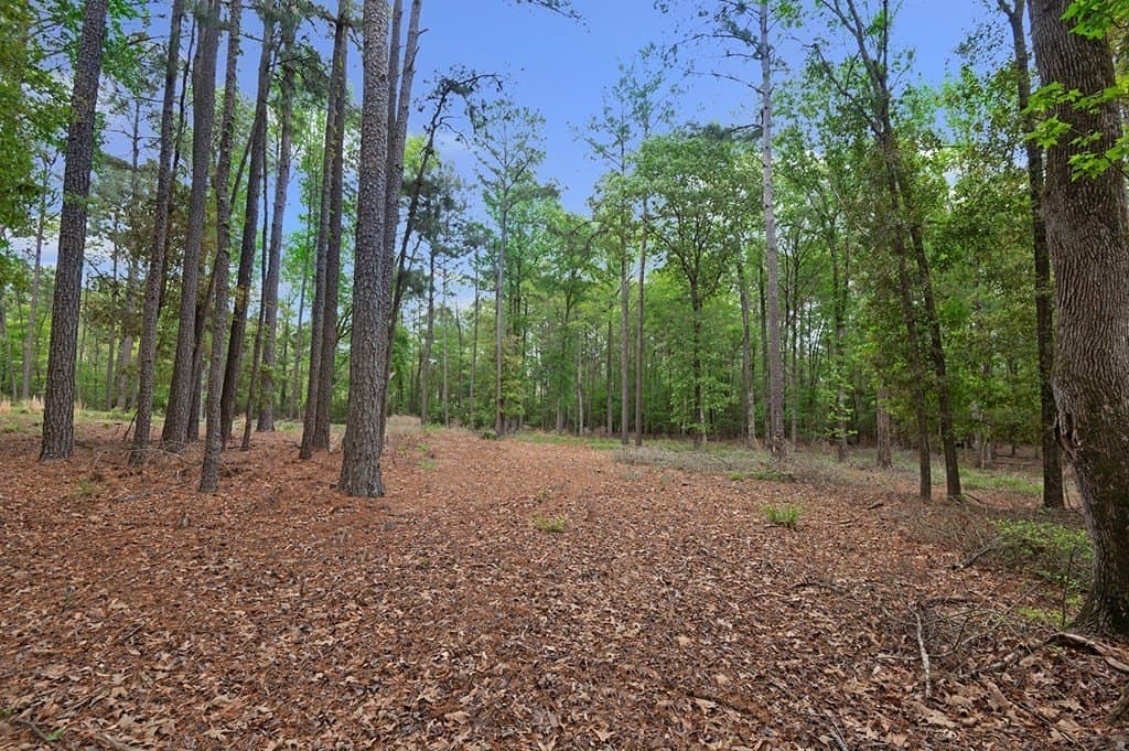 6.73 acres in Texas County - photo 15