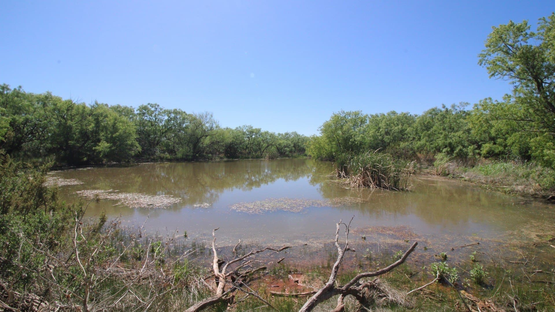 80.97 acres in Taylor County - photo 37