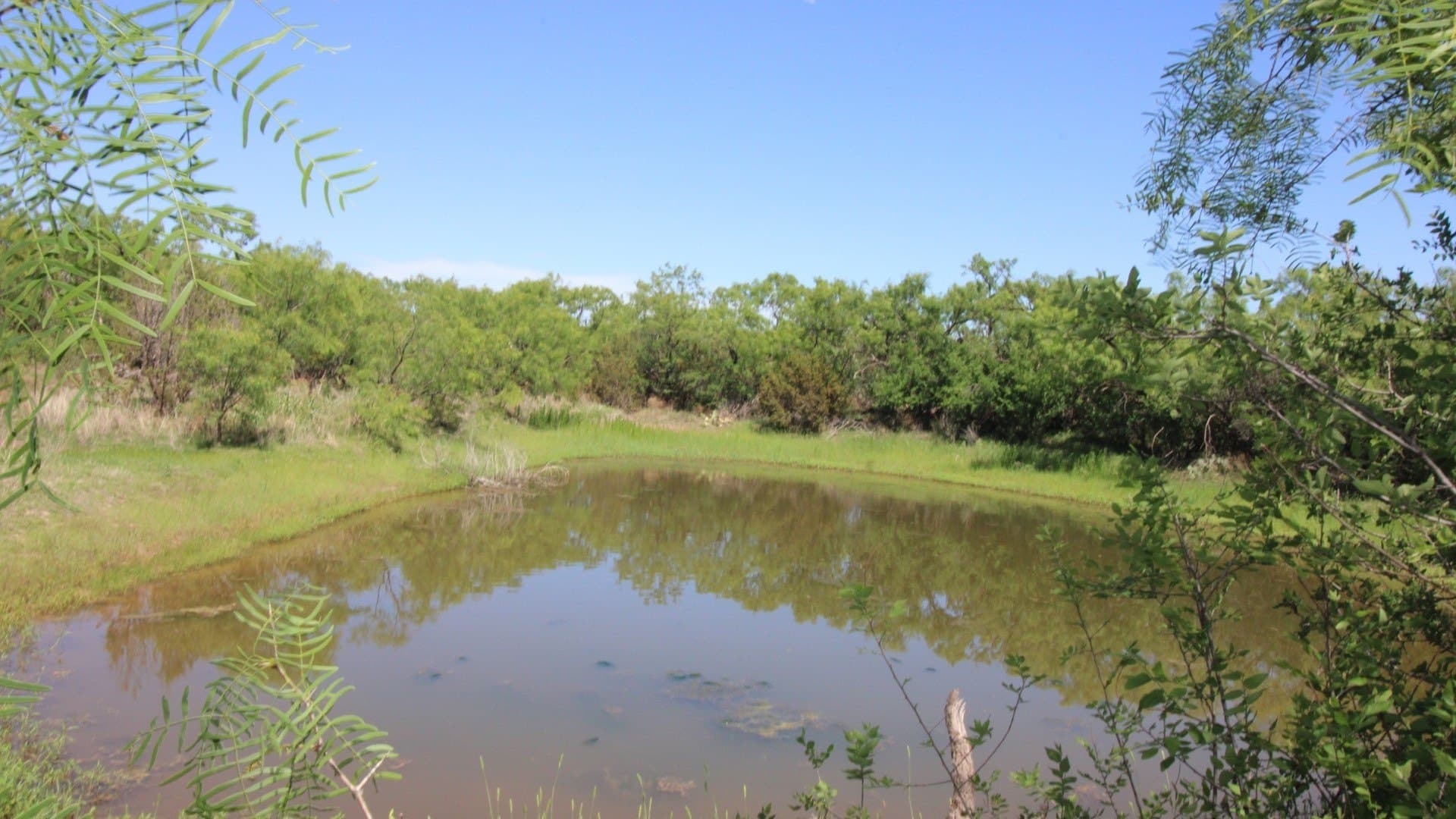 80.97 acres in Taylor County - photo 35