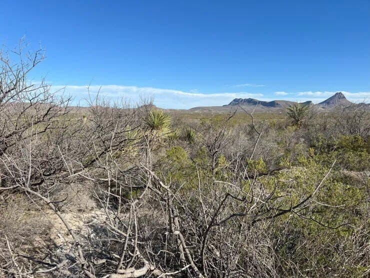 41.01 acres in Brewster County - photo 12