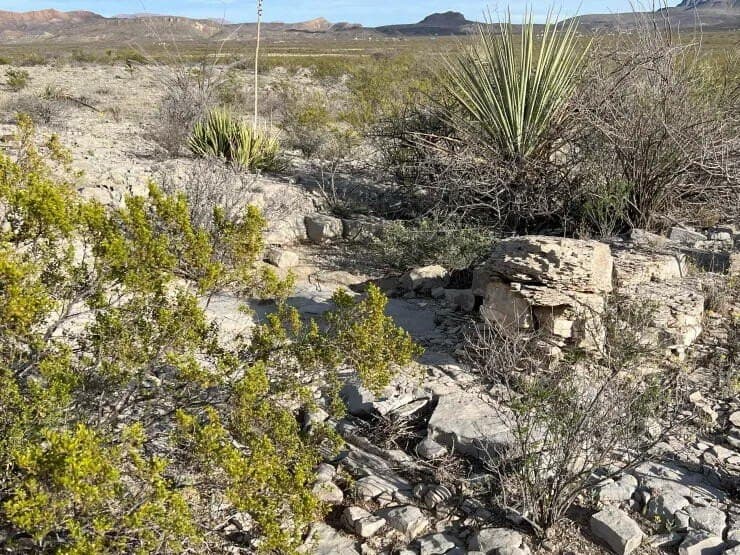 41.01 acres in Brewster County - photo 11
