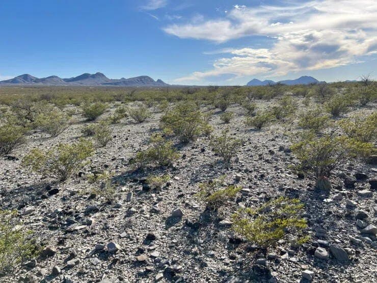 41.01 acres in Brewster County - photo 8