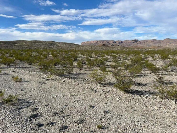 41.01 acres in Brewster County - photo 5