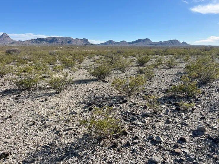 41.01 acres in Brewster County - photo 14