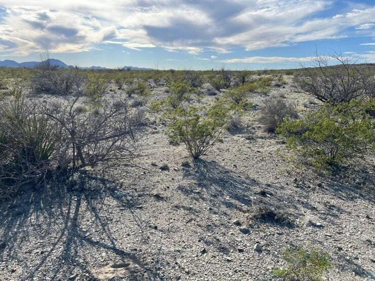 41.01 acres in Brewster County - photo 13