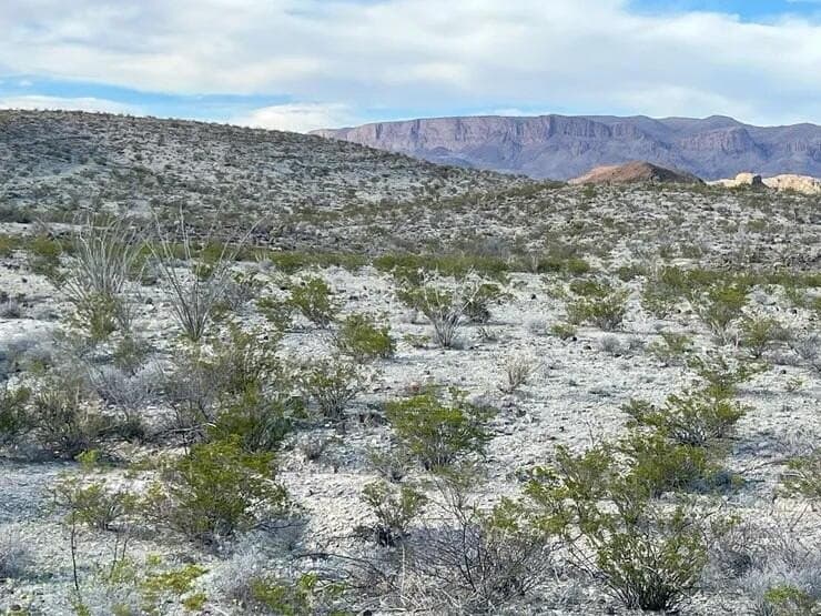41.01 acres in Brewster County