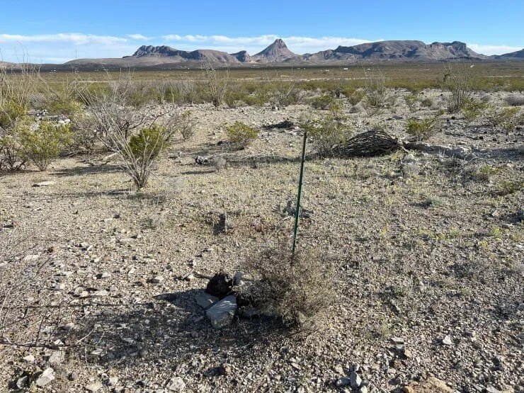 41.01 acres in Brewster County - photo 7