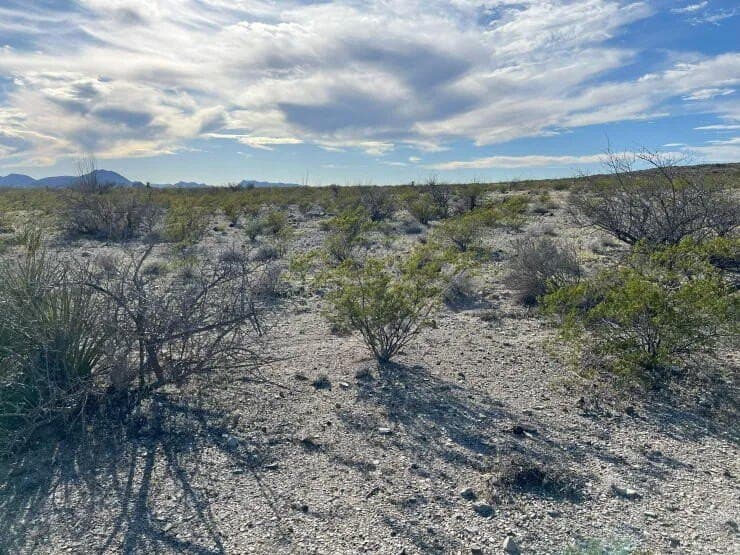 41.01 acres in Brewster County - photo 10